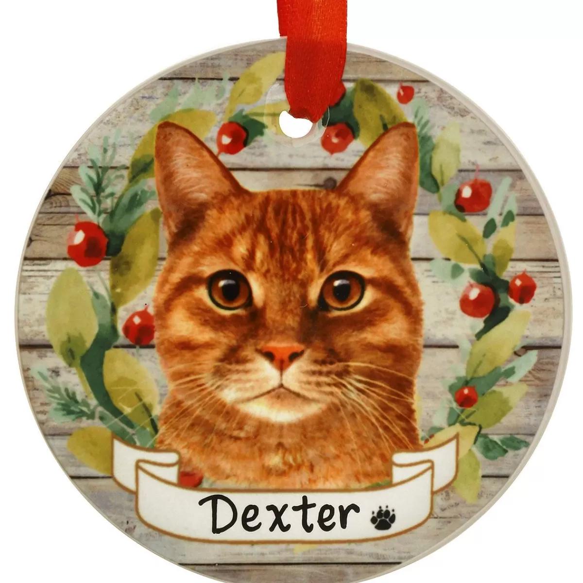 Bronner's Christmas Wonderland Personalized Orange Tabby Round Ceramic Ornament | Ornaments