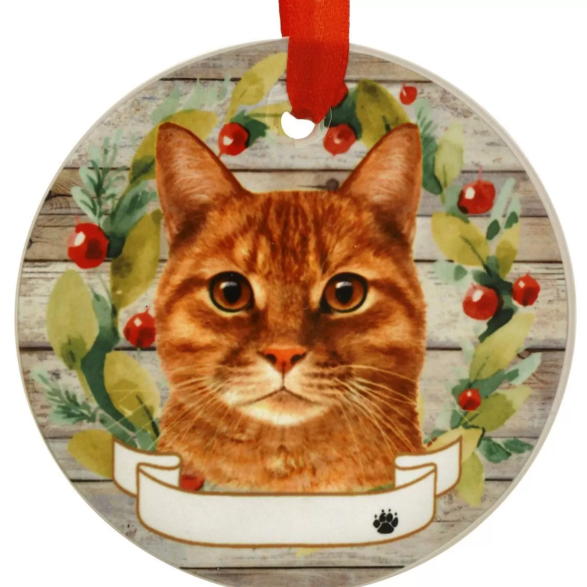 Bronner's Christmas Wonderland Personalized Orange Tabby Round Ceramic Ornament | Ornaments